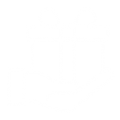 gift icon